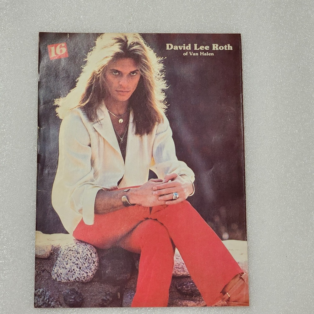 David Lee Roth Van Halen Greg Evigan BJ and the Bear Vintage 8x10 Poster 1970s